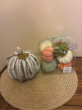 Rustic/Distressed Decorative Pumpkin with Succulent Mini Pumpkin Set